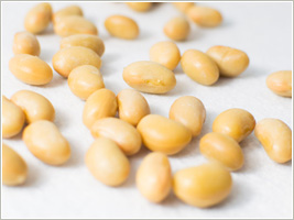 大豆など必須アミノ酸を含む良質のたんぱく質を摂る事が大事